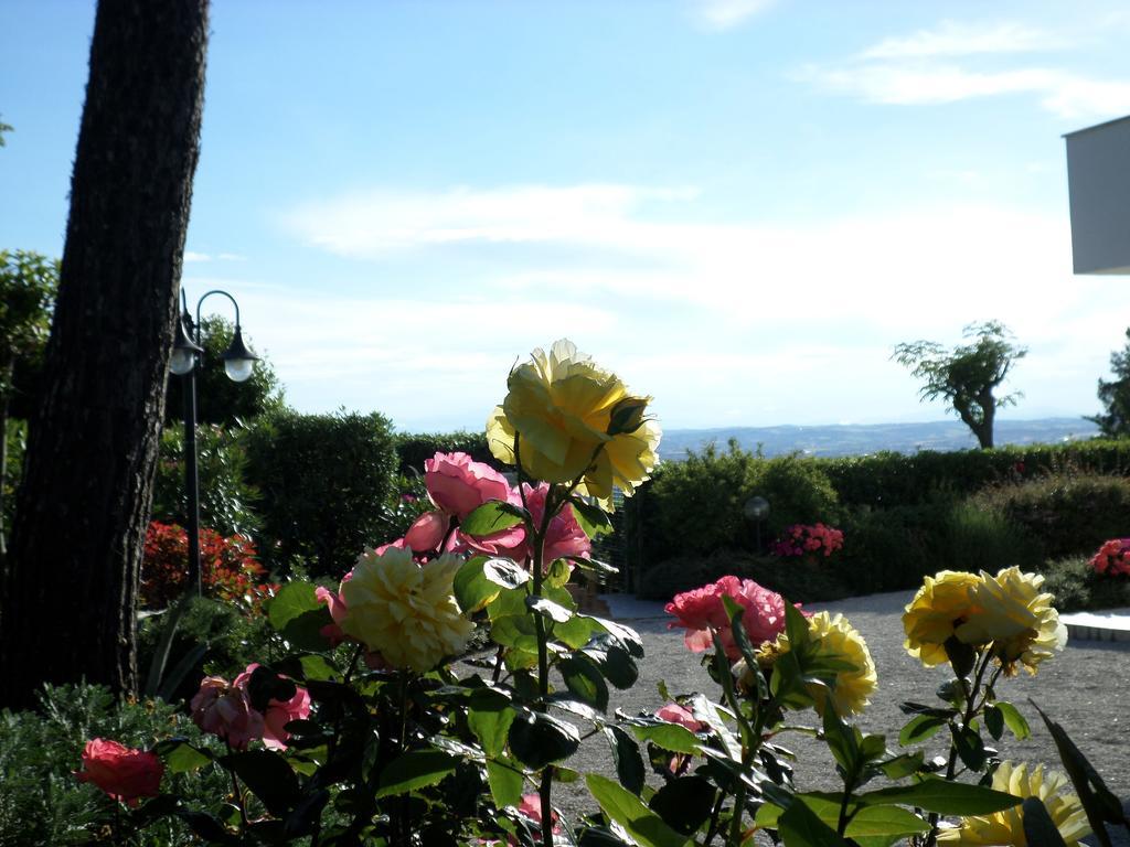 Bed And Breakfast " Il Tesoro Di Mario " Falconara Marittima Kültér fotó