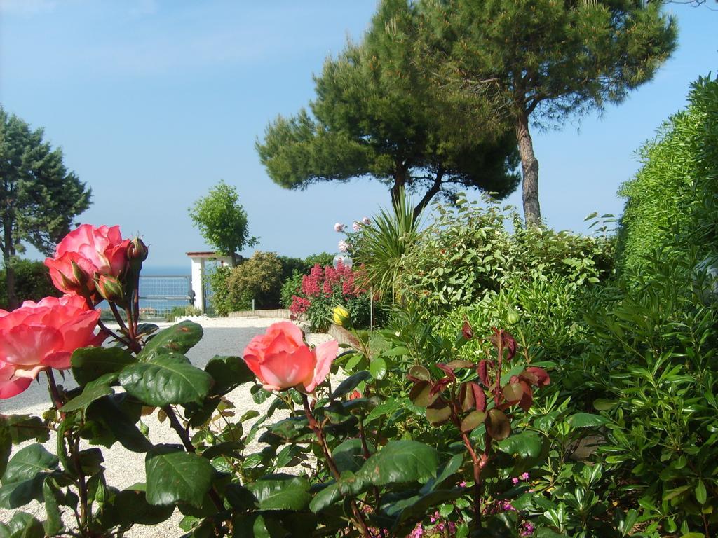 Bed And Breakfast " Il Tesoro Di Mario " Falconara Marittima Kültér fotó
